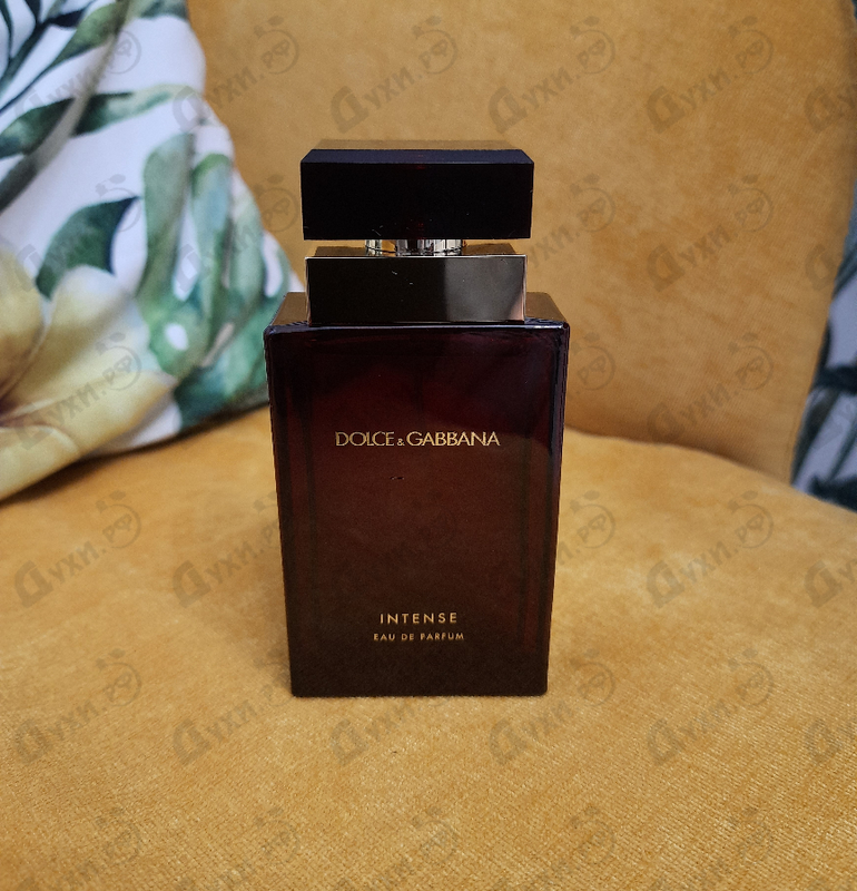 dolce and gabbana intense